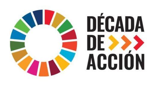 SDG década de acción