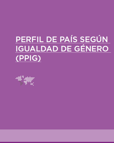 Portada Publicación Perfil de Género